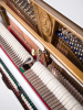 Пианино C. Bechstein Millenium 116K (BU) белое, полированное (209580, 2016 г.в.)