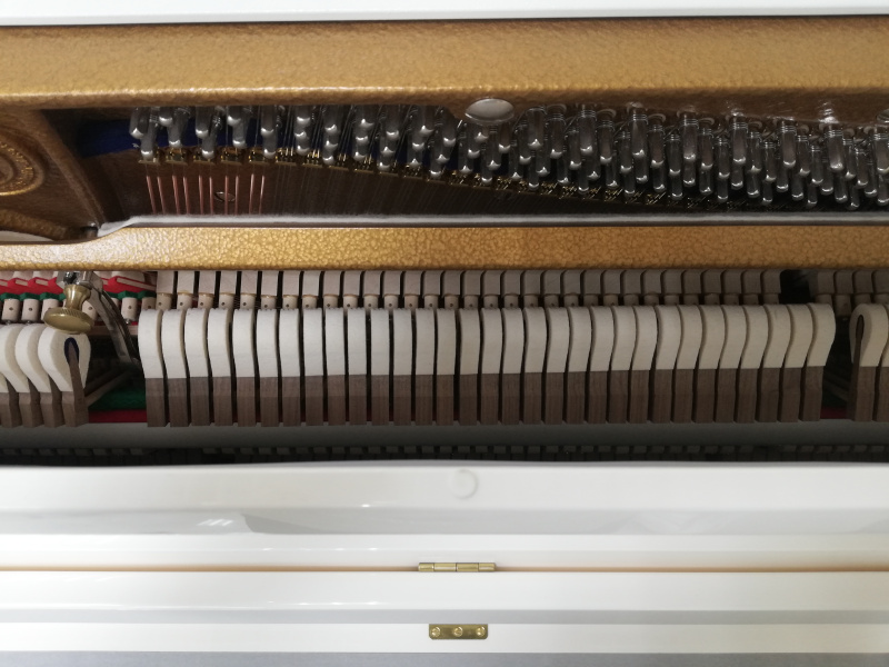 Пианино C. Bechstein Millenium 116K (BU) белое, полированное (209580, 2016 г.в.)