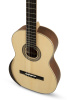 Гитара классическая Manuel Rodriguez Ecologia E-65 Spruce + Walnut 4/4