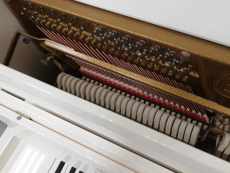 Пианино C. Bechstein Millenium 116K (BU) белое, полированное (209580, 2016 г.в.)